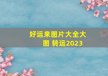 好运来图片大全大图 转运2023